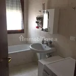 Rent 3 bedroom apartment of 60 m² in Bologna