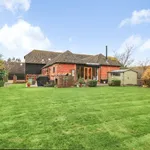 Rent 5 bedroom house in South East England