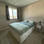 Rent 1 bedroom apartment in Vilvoorde