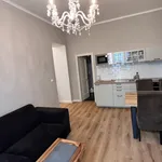 Rent 1 bedroom apartment of 50 m² in Prague