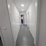 Rent 3 bedroom apartment of 90 m² in Bologna