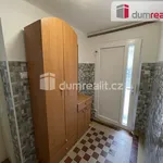 Rent 1 bedroom apartment in Břeclav