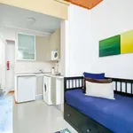 Rent 1 bedroom apartment in lisbon