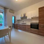 Rent 2 bedroom apartment of 55 m² in Milan