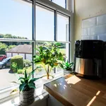 Rent 1 bedroom flat in Chichester