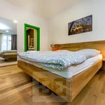 Rent 1 bedroom house in Praha 2