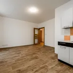 Rent 2 bedroom apartment of 50 m² in Milovice