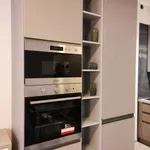 Rent 3 bedroom apartment of 67 m² in Padua