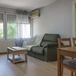 Rent 2 bedroom apartment in madrid