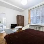 Rent 1 bedroom apartment in Capital City of Prague