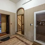 Rent 1 bedroom apartment in Bologna