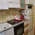 Rent 3 bedroom apartment of 80 m² in Torino