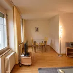 Rent 1 bedroom apartment of 624 m² in Zurich