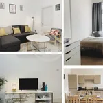 Rent 1 bedroom flat in Chelmsford