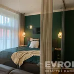 Rent 1 bedroom apartment of 33 m² in Prague