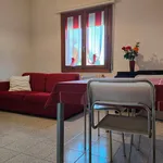 Rent 4 bedroom apartment of 90 m² in Bologna