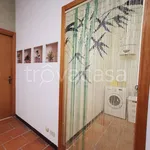 Rent 2 bedroom apartment of 70 m² in Roma