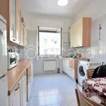 Rent 1 bedroom apartment of 54 m² in Genova