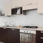 Rent 2 bedroom apartment of 65 m² in Bologna