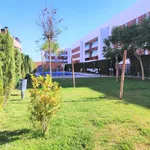 Rent 2 bedroom apartment of 69 m² in  Mairena del Aljarafe