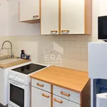 Rent 1 bedroom apartment of 31 m² in noisy-le-grand