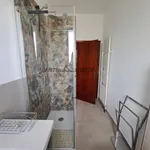 Rent 3 bedroom apartment of 65 m² in Forlì-Cesena