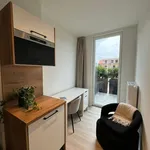 Rent 1 bedroom apartment in Leuven