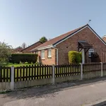 Semi-detached bungalow to rent in Exeter Avenue, Radcliffe, Manchester M26