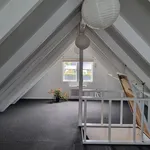 Rent 1 bedroom apartment in Auckland