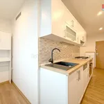 Rent 2 bedroom apartment of 58 m² in Litoměřice