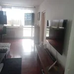 Rent 4 bedroom apartment in Most