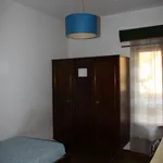 Rent 4 bedroom apartment in Coimbra