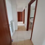 Rent 4 bedroom apartment of 125 m² in Manduria