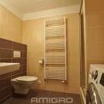 Rent 2 bedroom apartment of 50 m² in Brno