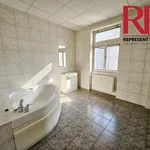 Rent 3 bedroom apartment of 134 m² in Plzeň