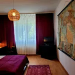 Rent 1 bedroom apartment of 56 m² in Berlin