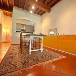 Rent 4 bedroom apartment of 95 m² in Florence