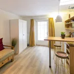 Rent 1 bedroom apartment of 40 m² in Dresden