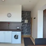 Rent 1 bedroom apartment of 40 m² in Brno