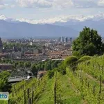 Rent 3 bedroom apartment of 43 m² in Turin