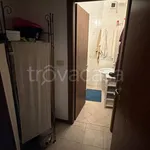 Rent 2 bedroom apartment of 58 m² in Torino