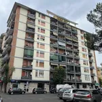 Rent 1 bedroom apartment of 45 m² in Roma