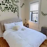 Rent 1 bedroom apartment in New York