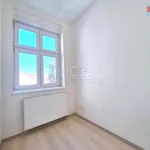 Rent 1 bedroom apartment of 54 m² in Plzeň