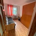 Rent 4 bedroom apartment in Iași