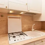 Rent 1 bedroom apartment in rome