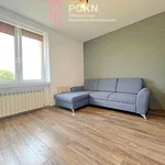 Rent 1 bedroom apartment of 31 m² in Opole