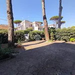 Rent 3 bedroom apartment of 70 m² in Anzio