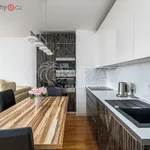 Rent 3 bedroom apartment of 60 m² in Praha