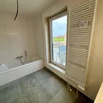 Maison de 200 m² avec 3 chambre(s) en location à Varsenare